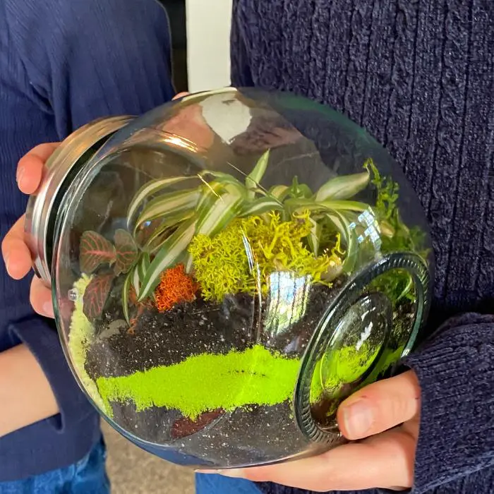 Terrarium-atelier-enfant-positive-cottage